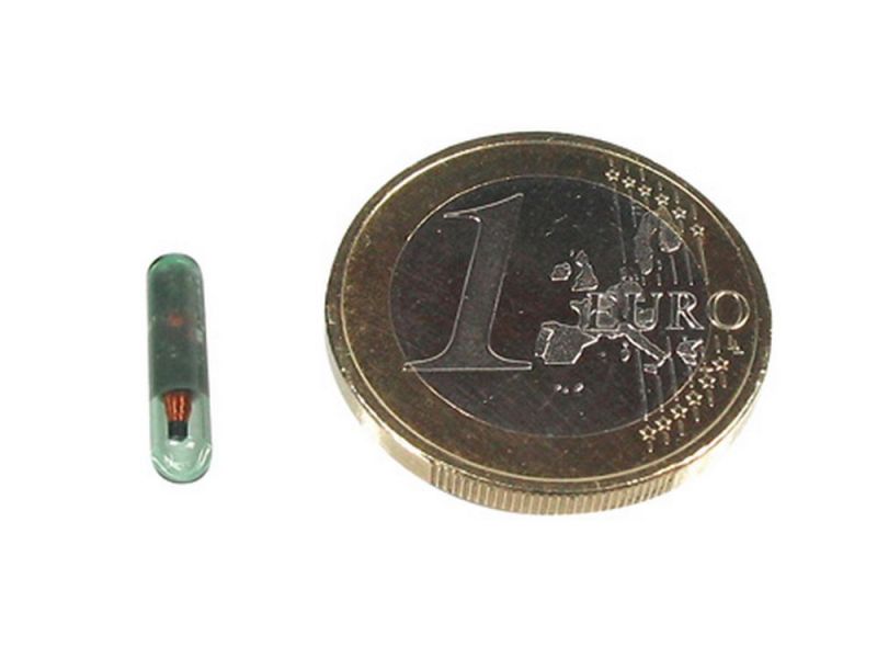 motogadget m-Lock Armatuur Sleutel Glazen buis