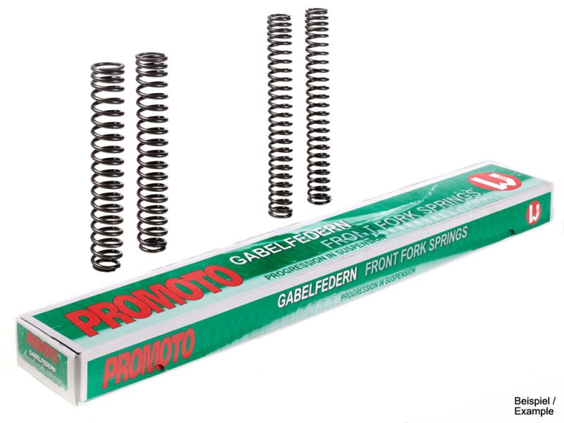 Promoto Vorkveren Yamaha XJR 1300 (RP06 2002-)